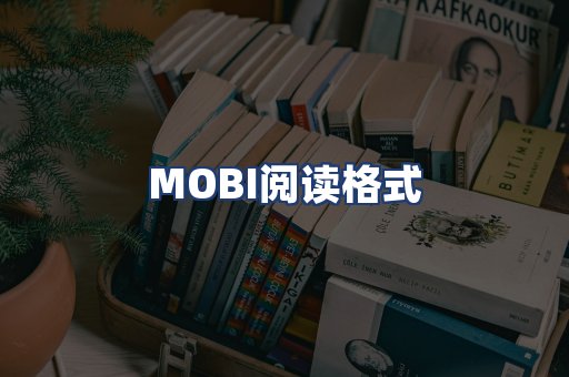 MOBI阅读格式